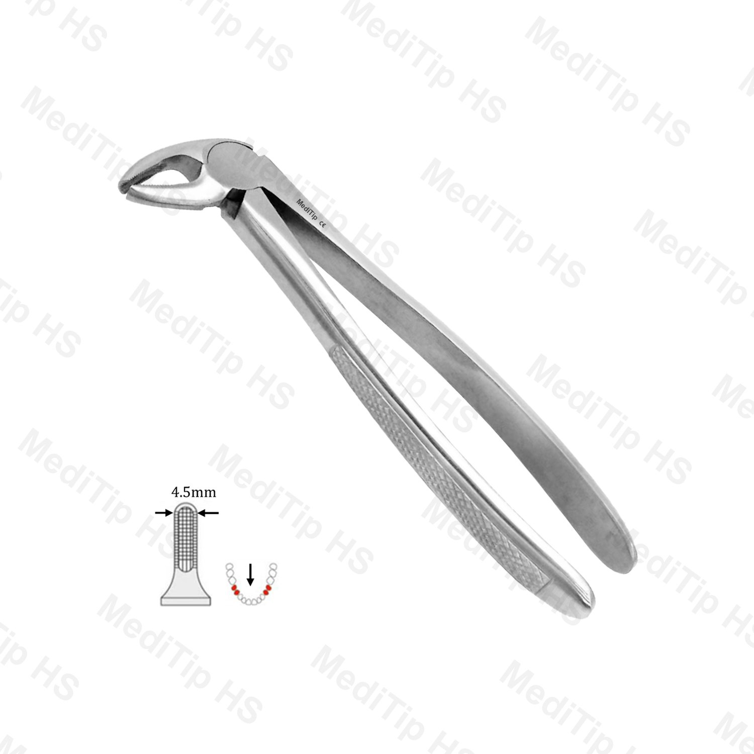 13 Extraction Forceps, Lower Premolars Anterior