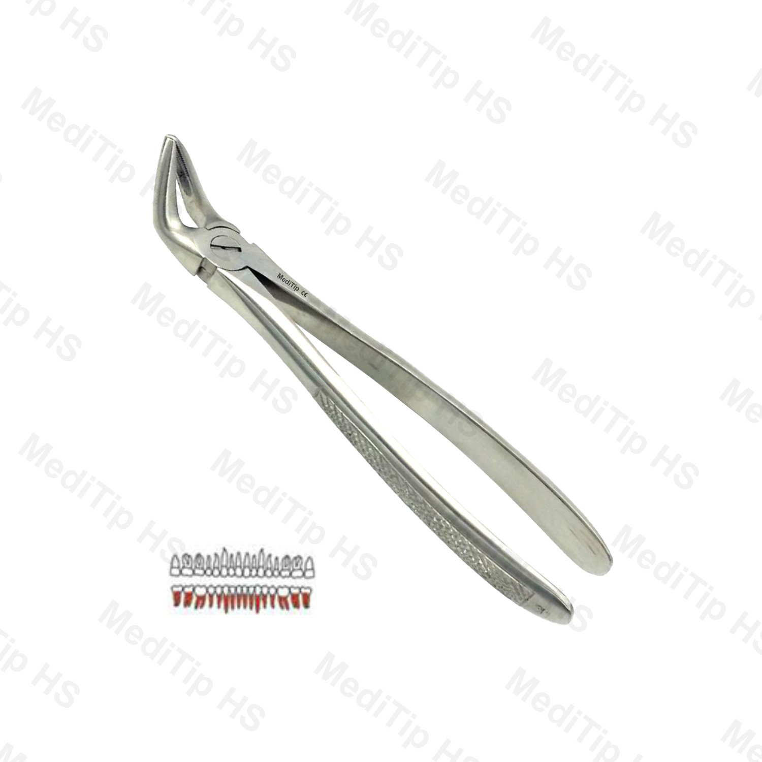 31 Extraction Forceps, Lower Roots Both Sides
