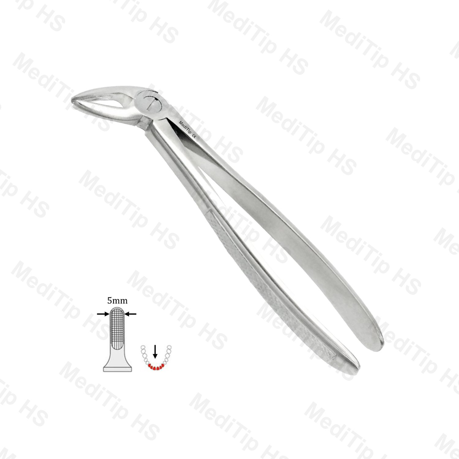 04 Extraction Forceps, Lower Incisors Canines