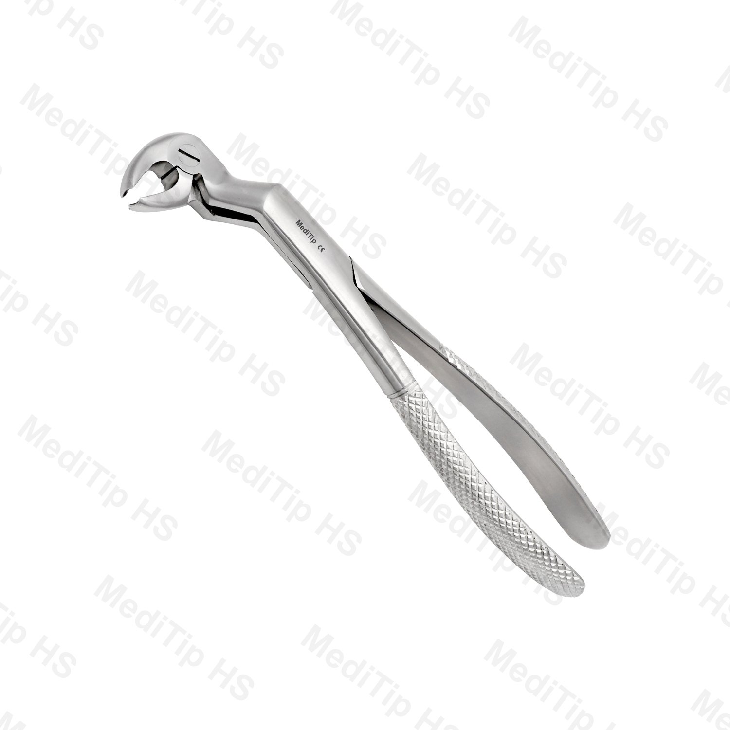 Routurier Extraction Forceps, Right