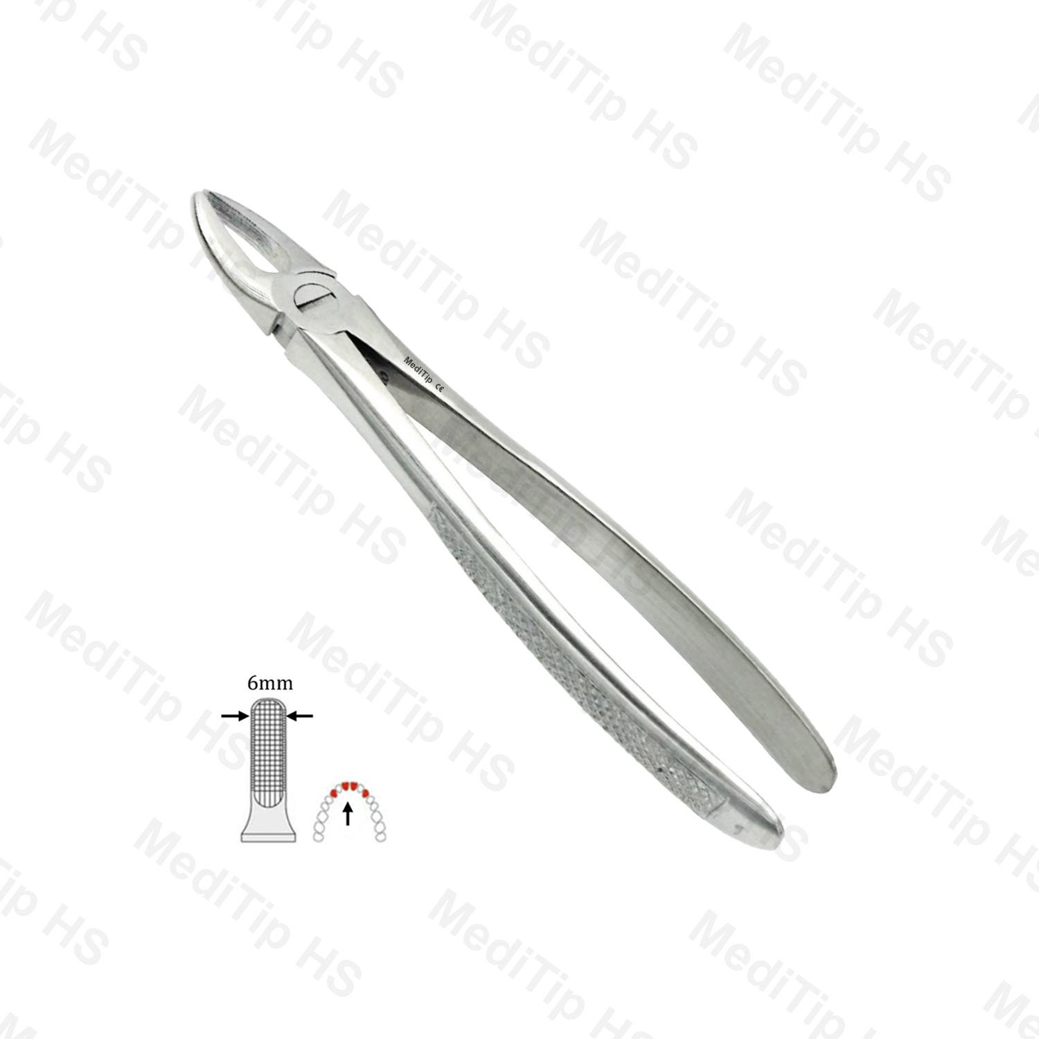 01 Upper Anterior EF, Serrated, EU