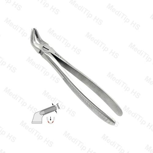 08 Lower Premolars Both Sides EF, Serrated, EU