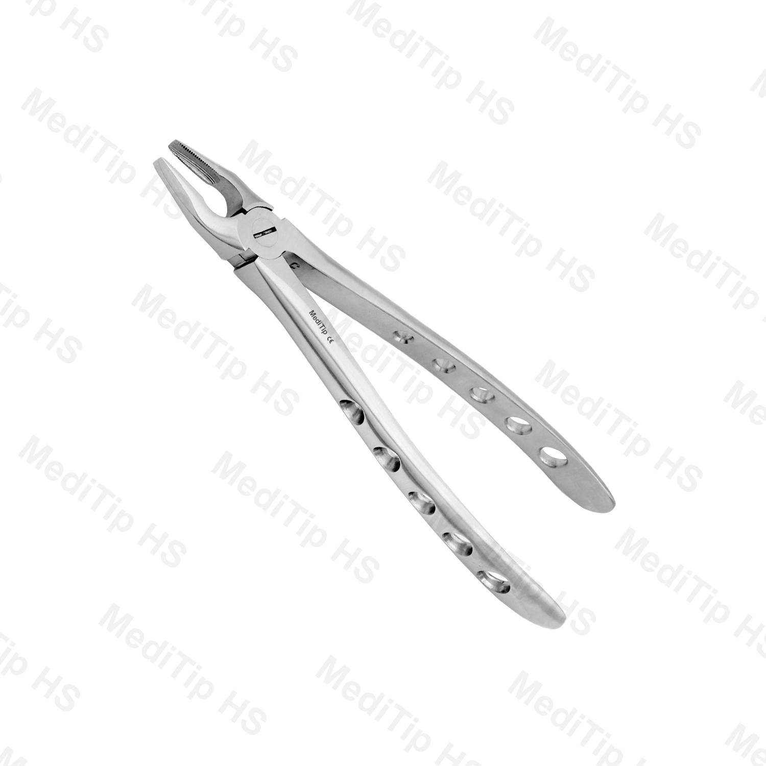 1 Apical Forceps, Upper Incisors