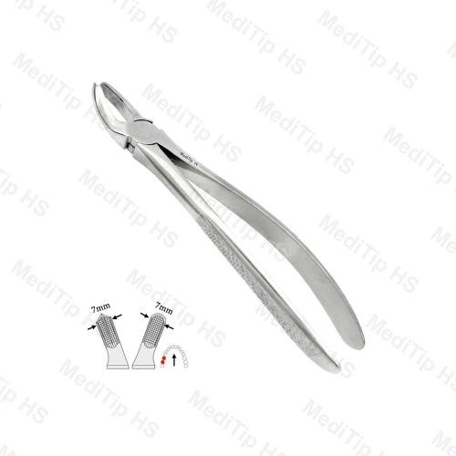 17 Upper Molars EF, Right, Serrated, EU
