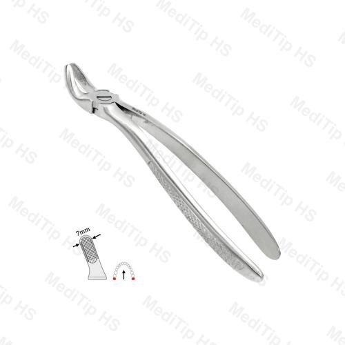 19 Upper Third Molars EF, Serrated, EU