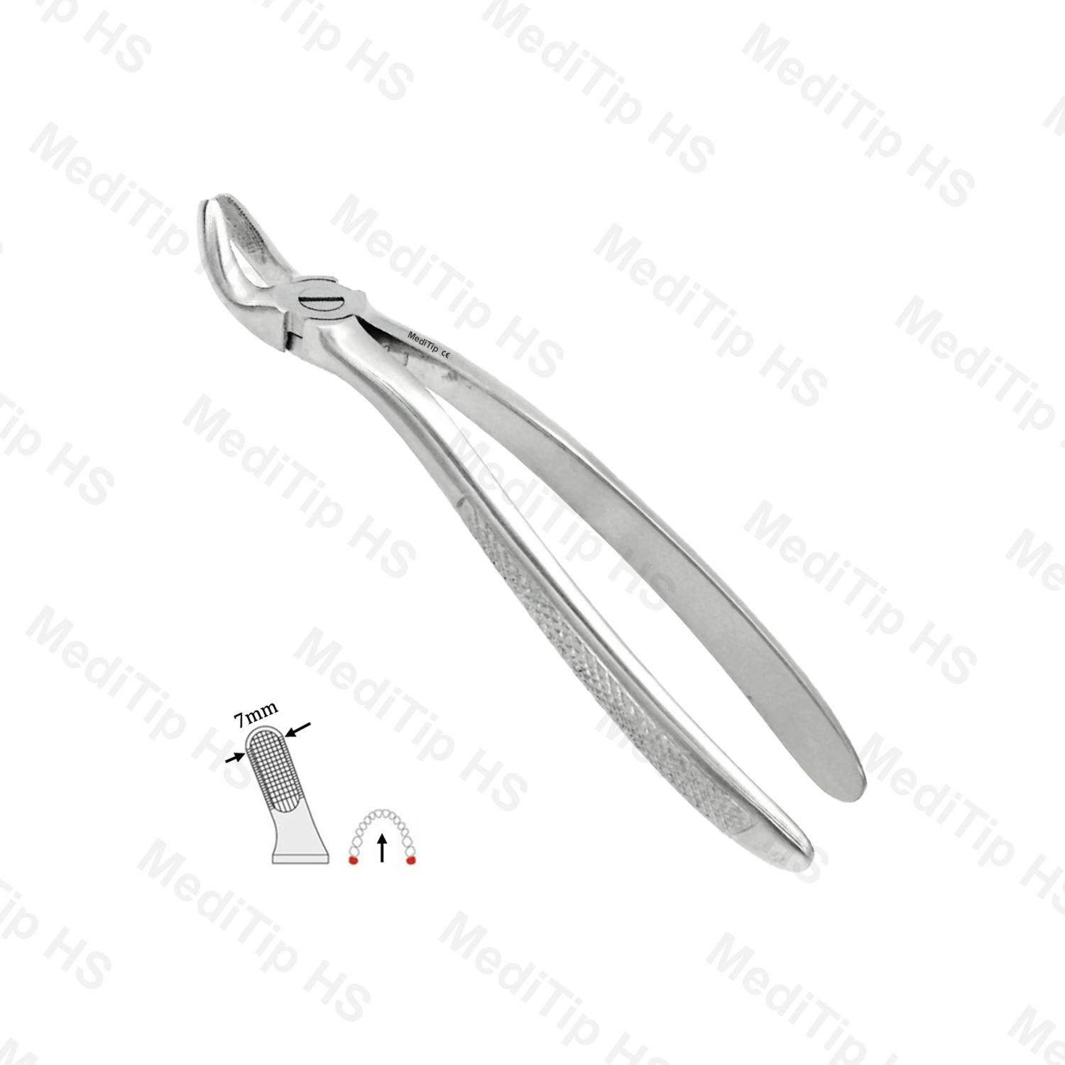 19 Upper Third Molars EF, Serrated, EU