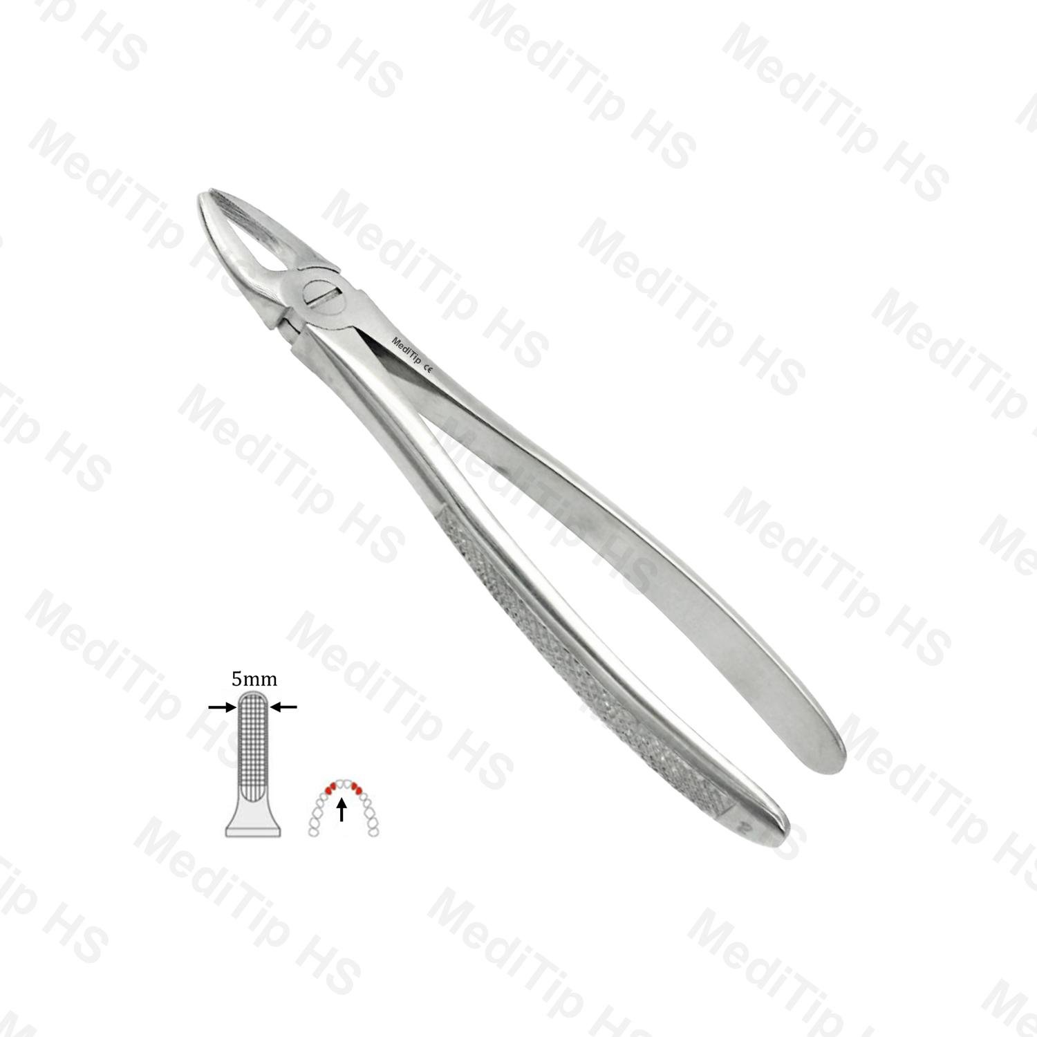 2 Upper & Side Incisor Premolar EF, Serrated, EU