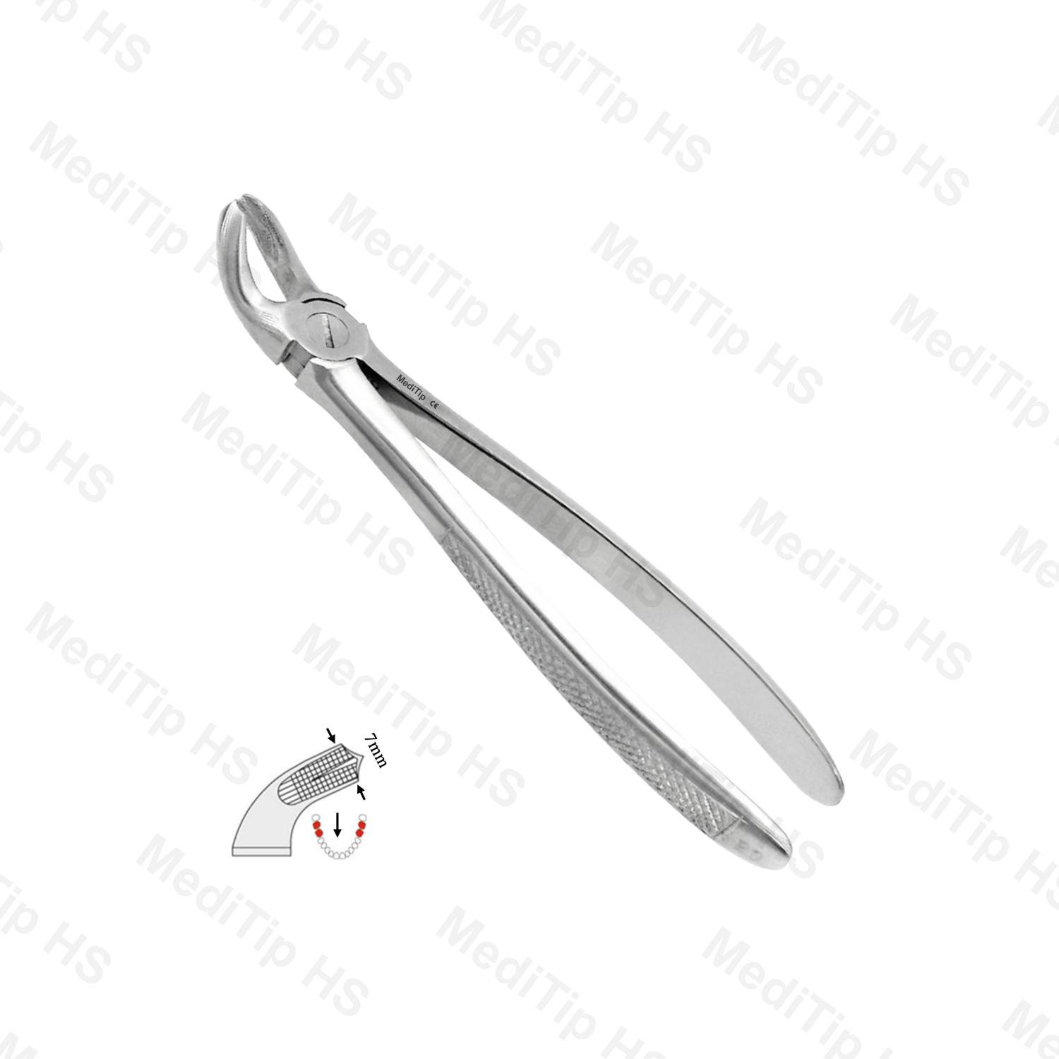 20 Lower Molars EF, Serrated, EU