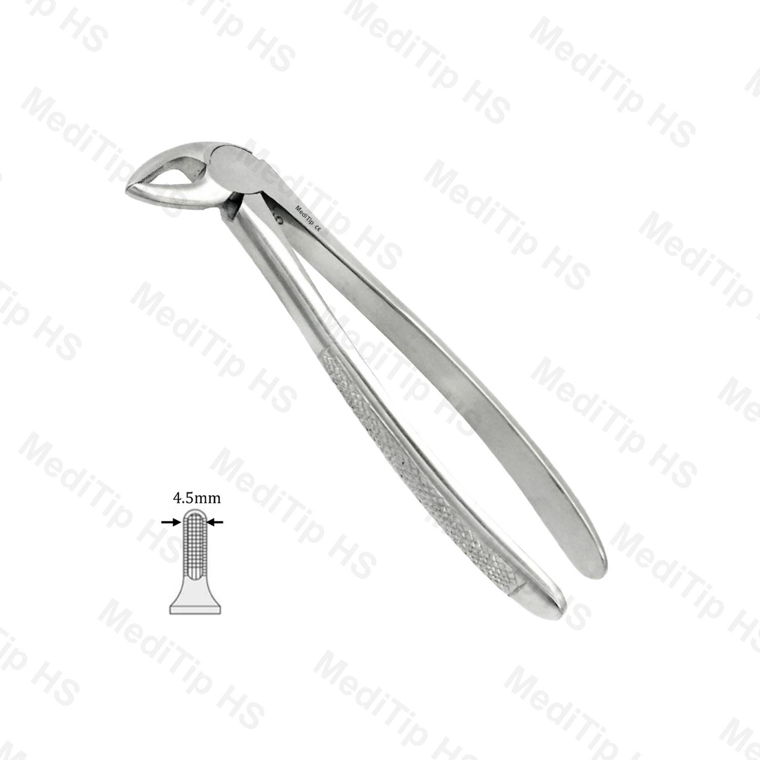 32 Lower Roots Both Sides EF, Serrated, EU