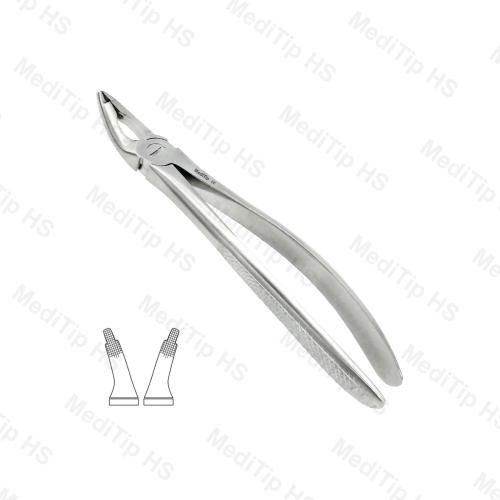35 Upper Incisors, Canines, Premolars Roots EF, Mead Serrated, EU
