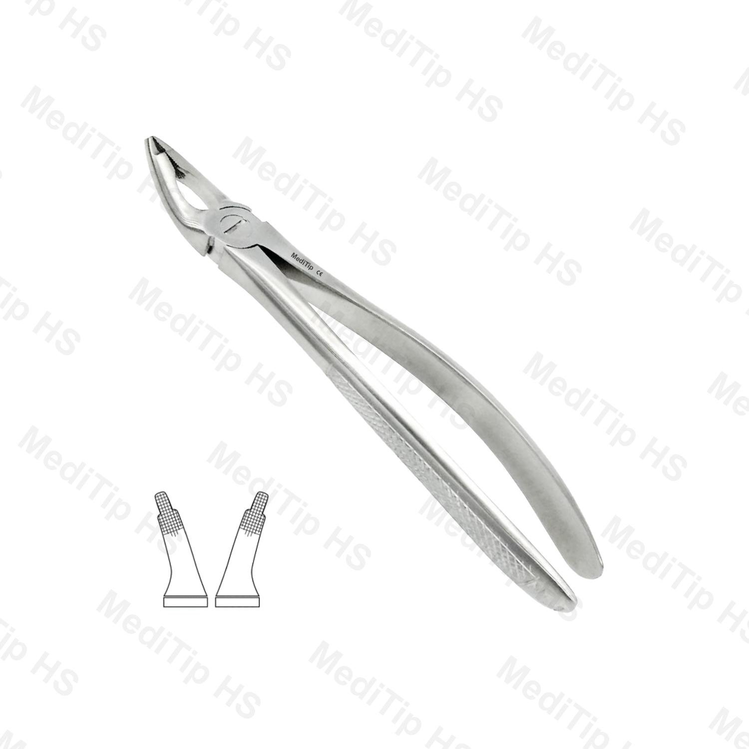 35 Upper Incisors, Canines, Premolars Roots EF, Mead Serrated, EU