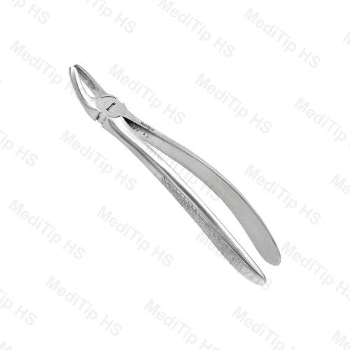 39 Lower Roots Both Sides EF, Serrated, EU