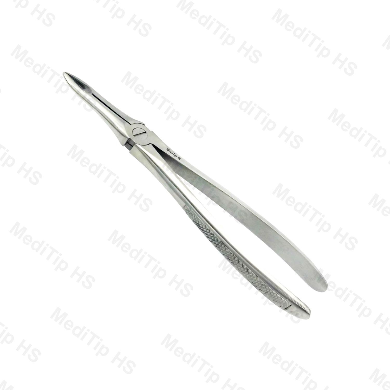 41 Upper Roots Both Sides EF, Serrated, EU