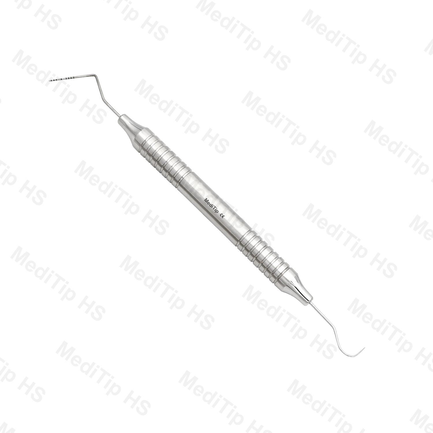 6/William Explorer, DE