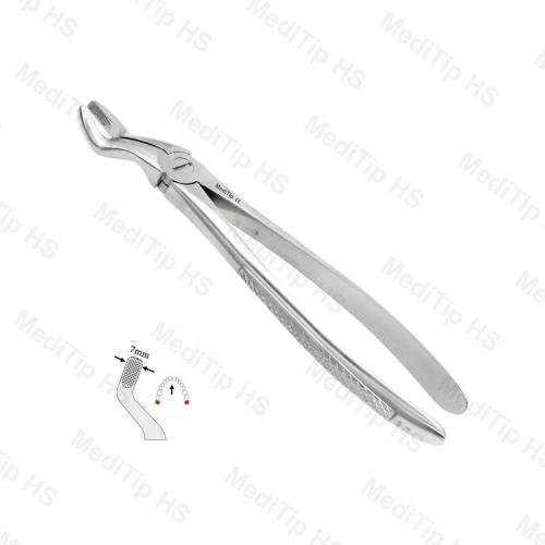 67 Upper Third Molars EF, Serrated, EU