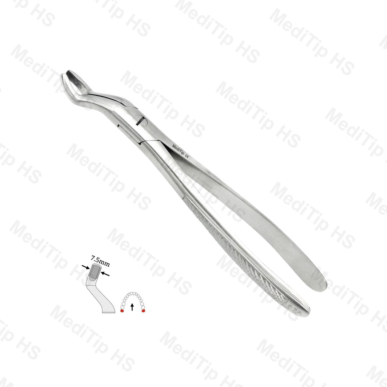67A Upper Third Molars EF, Serrated, EU