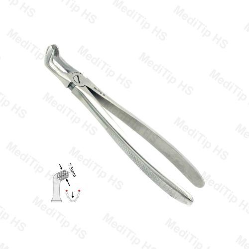 79 Lower Third Molars EF, Serrated, EU