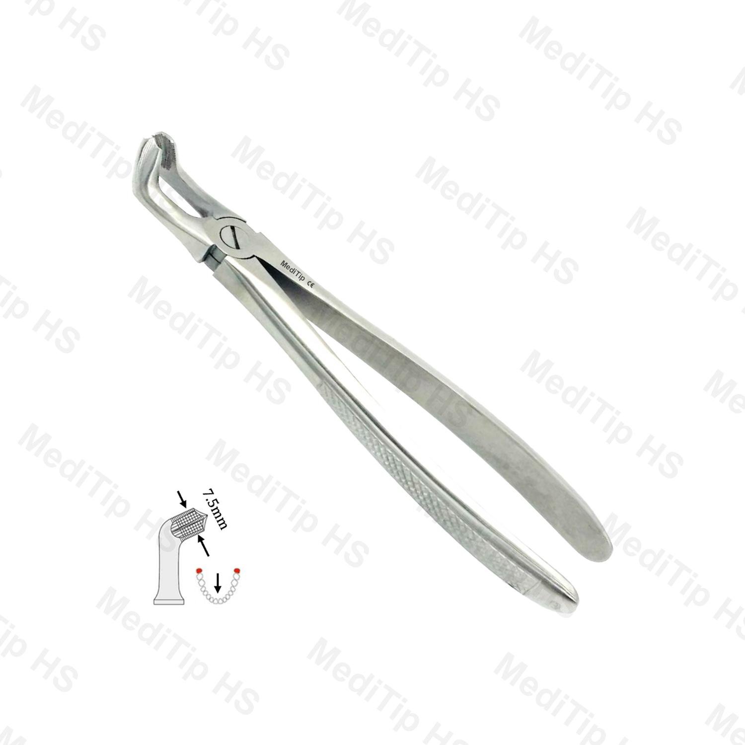 79 Lower Third Molars EF, Serrated, EU