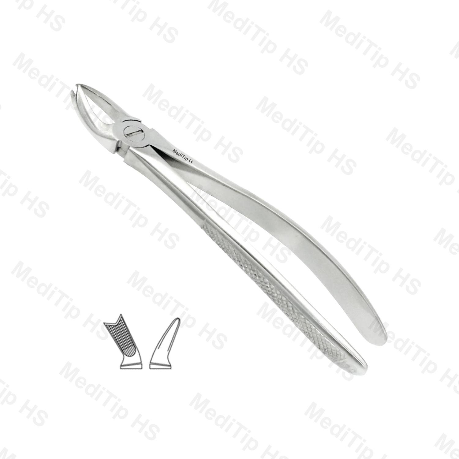 90 Upper Molars Left EF, Serrated, EU